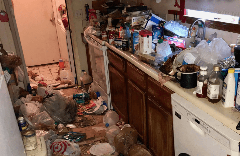 Level 4 with food decay