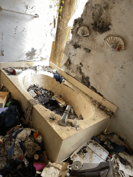 Level 5 hoarding is the most sever and most concerning. 