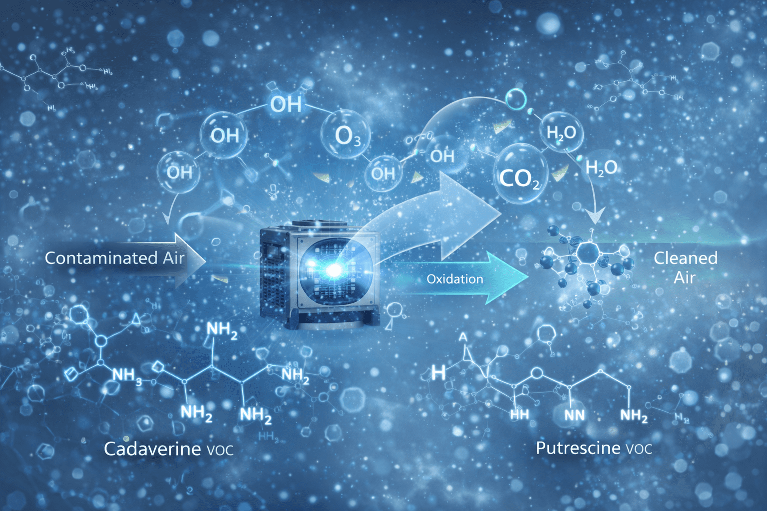 Why Odors Return After Trauma Cleanup & How 2026 Stops It